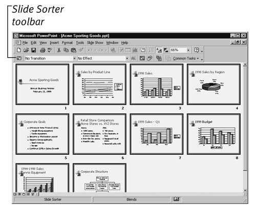 In Slide Sorter view, you can see many slides at once.