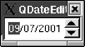 A date edit field in Windows and Motif style (both look the same except for the highlighting color)