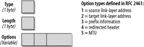 Format of the Option field
