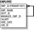 Entity Relationship Diagram of the EMPLOYEE table