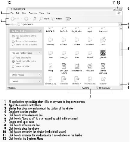 The decorations of a standard window: titlebar, title buttons, menu, and a scrollable client area