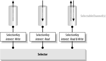 Relationships of the selection classes