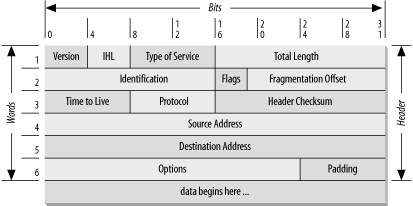 IP datagram format