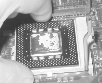 After aligning the pins, drop the processor into the socket