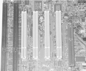 An Intel SE440BX “Seattle” motherboard showing, from left to right, one ISA slot, one combined ISA/PCI slot (which can accept an ISA or a PCI card, but not both simultaneously), three PCI slots, and an AGP slot