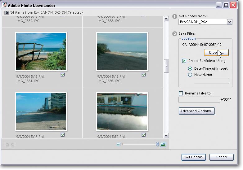 The Adobe Photo Downloader is yet another program that you get when you install the Windows version of Elements. Its role in life is to pull your photos from your camera (or other storage device) into the Organizer. The Downloader runs even if Elements isn't currently open (although, as you'll learn in Chapter 2, you can disable the Downloader if you don't like it). After the Downloader does its thing, you end up in the Organizer.