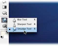 Like any good toolbox, the Elements Toolbox has lots of hidden drawers tucked away in it. Many of the Elements tools are actually groups of tools, which are represented by tiny black triangles on the lower-right side of the tool icon. Clicking these triangles brings out the hidden subtools. The little black square next to the Smudge tool means it's the active tool right now.
