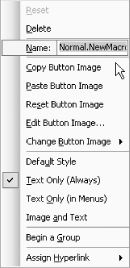 Changing the name of the button used to activate a macro placed on a toolbar or menu