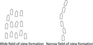 Wide versus narrow field-of-view flock formations