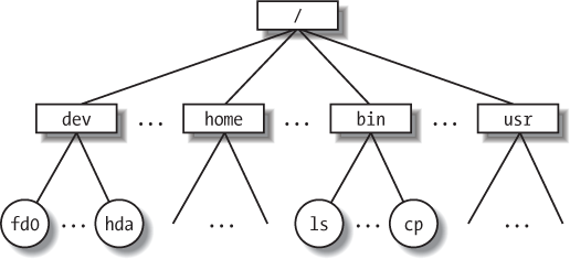 An example of a directory tree