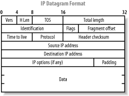 IP datagram format
