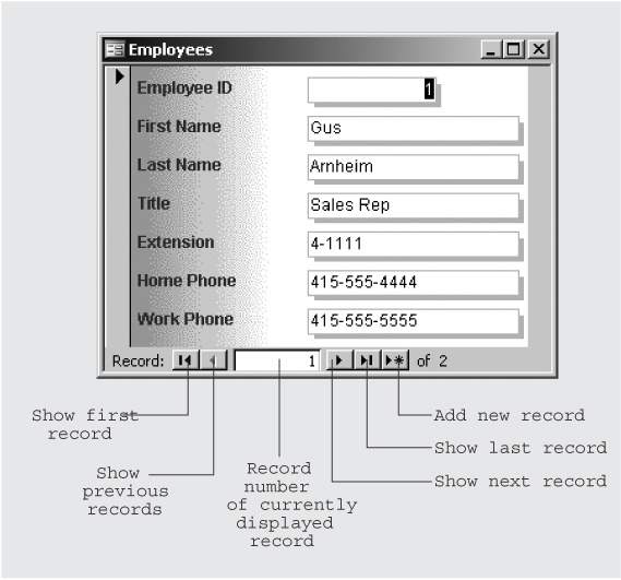 With a form in Data view, you can view information that’s already in a table or add new data. The navigation buttons at the bottom of the window let you display the first, last, previous, or next record in the table. By clicking the far-right button, you can display an empty form to add a new record to the table.