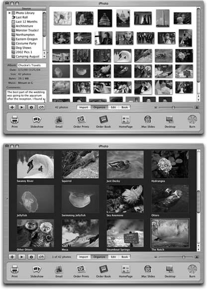 Here’s the same Photo Library with two very different customized views.Top: In the first example, the thumbnails are set to a very small size, with drop shadows, against a white background. The Source list, Information panel, and Comments are displayed.Bottom: The second view features large thumbnails, with borders, against a dark gray background. The Source list is hidden, but the titles for each photo are displayed.