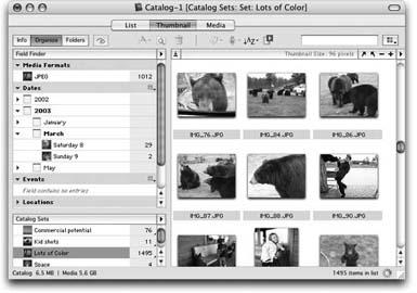 iView Media, shown here, is one of several programs that do most of what iPhoto does—and a lot more besides.For example, it can “watch” certain folders on your Mac, so that when new graphics arrive, iView catalogs them automatically.And its photo limit is 128,000 pictures.