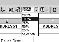 The Zoom field in the toolbar controls how large the body of your Excel worksheet appears in the Excel window. You can select prefab settings, or type in your own magnification.