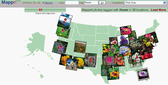 Flickr’s flowers on Mappr’s map
