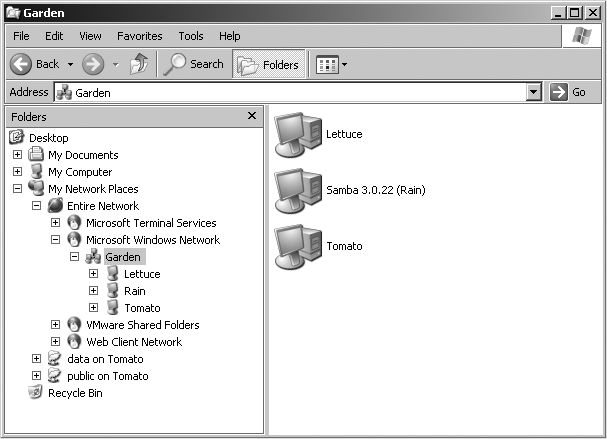Viewing the members of a workgroup using My Network Places on a Windows client