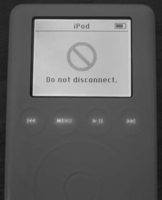 Your altered iPod screen, once the connection is made