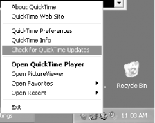 Launching the QuickTime Updater from the system tray