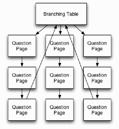 Branching quiz schematic