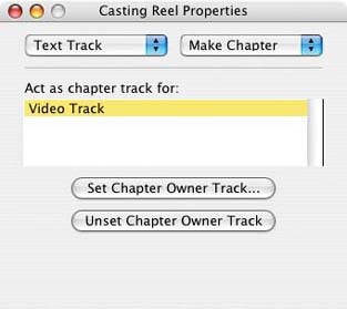 A newly created chapter track with a Video Track owner