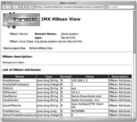 JMX Console view of ServerInfo