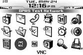 Two VNC icons on the Home screen