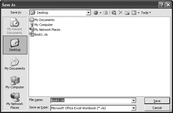 At the bottom of the Save As dialog box, you can type in a file name and choose a file type.