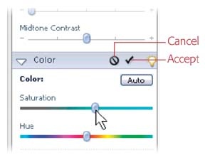 When you move a slider in any of the Quick Fix palettes, the Cancel and Accept buttons appear in the palette you're using. Clicking the cancel symbol undoes the last change you made, while clicking the accept symbol applies the change to your image. If you make multiple slider adjustments, the cancel symbol undoes everything you've done since you clicked Accept. So, for example, if you lightened shadows and adjusted the midtone contrast, clicking cancel removes both changes. But if you adjusted the shadows, clicked Accept, and then made the contrast adjustment, clicking Cancel would cancel just the contrast adjustment without affecting the shadows change.