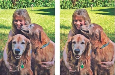 Left: The skin tones in the original photo are slightly bluish and a tad washed out.Right: Adjust Skin Tone is able to warm up not only skin tones, but also the coats of the dogs. If you look closely, you can see that it also introduces a bit of an orange cast to the grass.