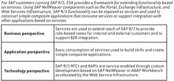 ESA today: enterprise services and SAP R/3