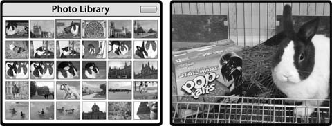 The Photo Library shows you teeny-tiny preview versions of all the pictures you have on your iPod. Use the scroll wheel to slide the highlight square to a certain photo (left), and press the iPod’s center button to see the selected image across the entire screen (right).