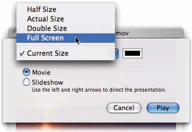 The Present Movie command makes the movie fill your screen (although enlargement makes the movie grainier and coarser).