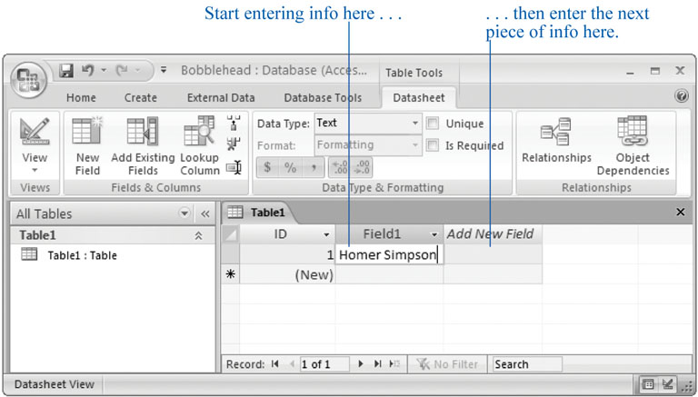 To fill in your first record, start by entering something in the first field of information (like the doll name "Homer Simpson"). Then, hit Tab to jump to the second column, and then enter the second piece of information. Ignore the ID column for nowâAccess adds that to every table to identify your rows.