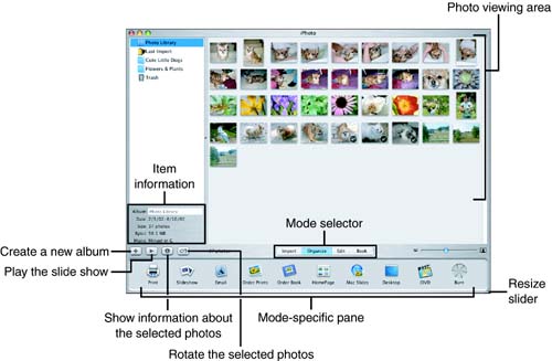 The iPhoto window contains all the settings you need to import, organize, edit, and “book” your photos.