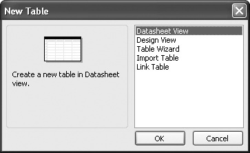 The New Table dialog box.
