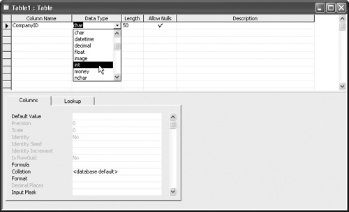 Selecting from the drop-down list of data type options.