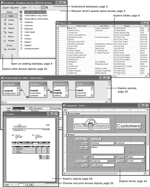 Getting to Know Microsoft Access 2003