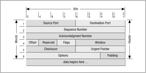 TCP segment format