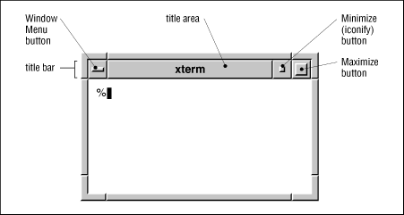 A window running with the Motif Window Manager