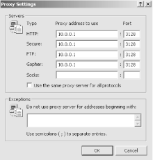 Microsoft Internet Explorer Proxy Settings window