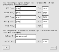 Netscape Navigator manual proxy configuration