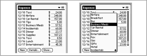 The Expense application. The home page, normal (left) and with the Expense Type pop-up menu open (right).