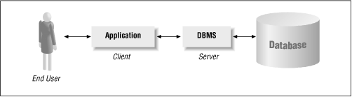 client server database model