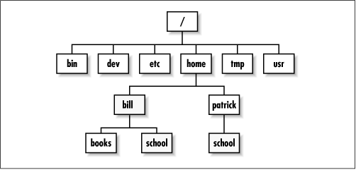 A hypothetical Linux directory tree
