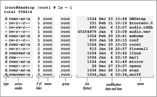 Output of the ls command