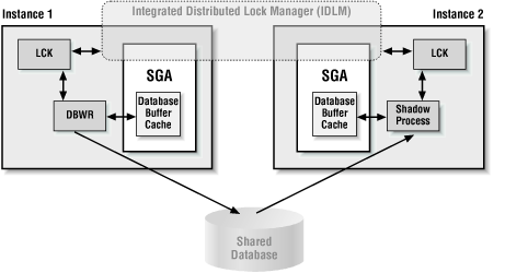 Integrated Distributed Lock Manager