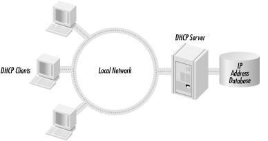 The DHCP client/server model