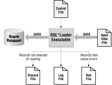 The SQL*Loader environment