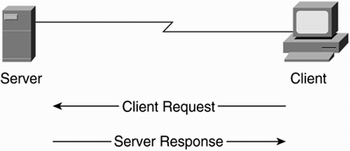 Figure 20-1. Client/Server Architecture